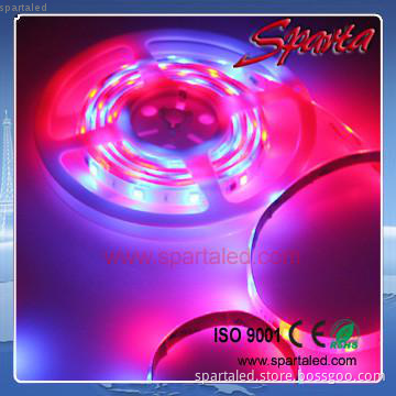 long life time led strip light smd5050 30leds/m magic color IP68